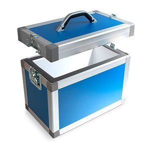 Rigid insulated case Delta T Courier Case
